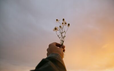 Gaya Hidup Minimalis: Menikmati Hidup dengan Lebih Sederhana