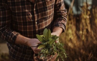 Hidup Sederhana di Tengah Budaya Pamer: Pilihan atau Keterpaksaan?