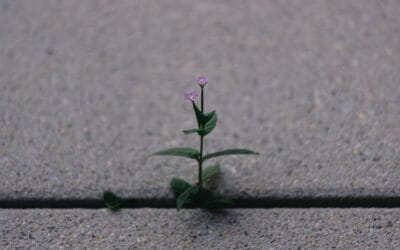 Mengapa Banyak Orang Takut Gagal, Padahal Kegagalan Itu Wajar?